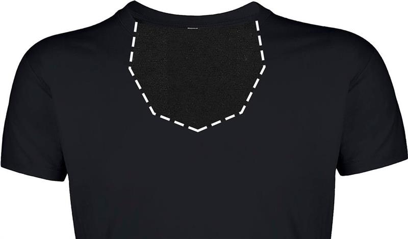 REGENT F Męski T-Shirt 150g-25080