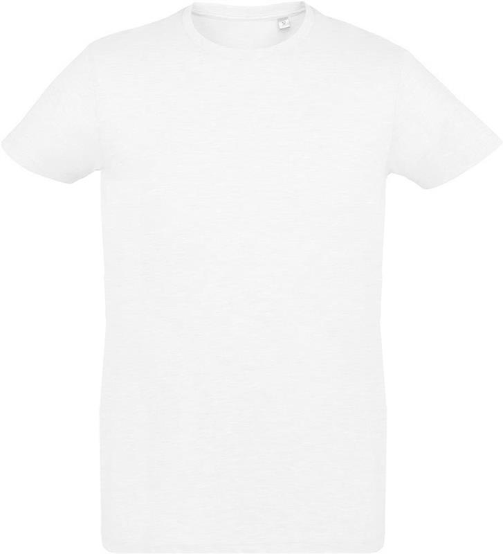 REGENT F Męski T-Shirt 150g-25061
