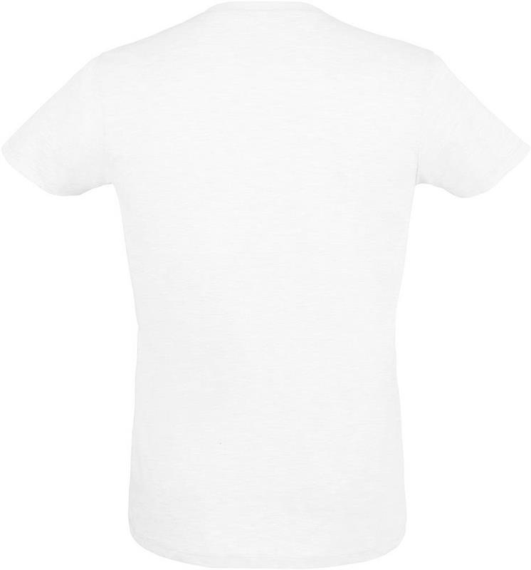 REGENT F Męski T-Shirt 150g-25042