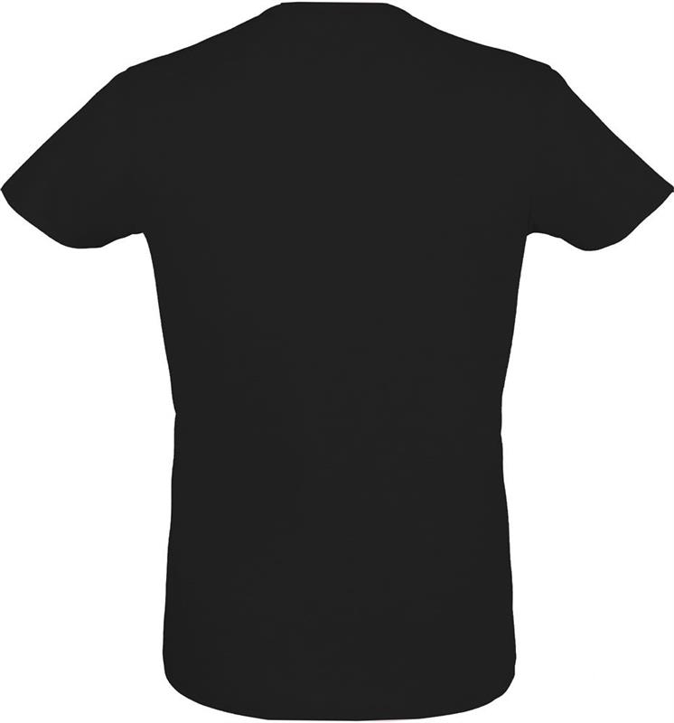 REGENT F Męski T-Shirt 150g-25050