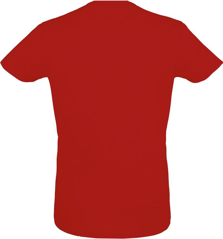 REGENT F Męski T-Shirt 150g-25045