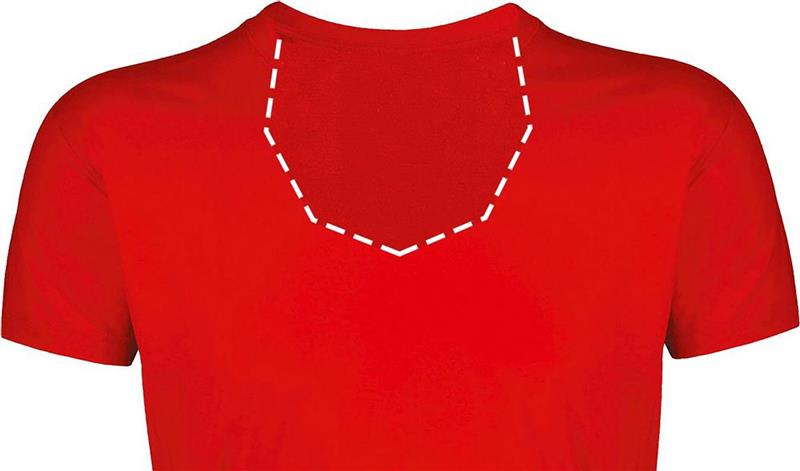 REGENT F Męski T-Shirt 150g-25082