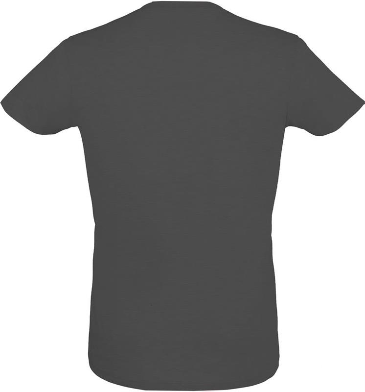 REGENT F Męski T-Shirt 150g-25049