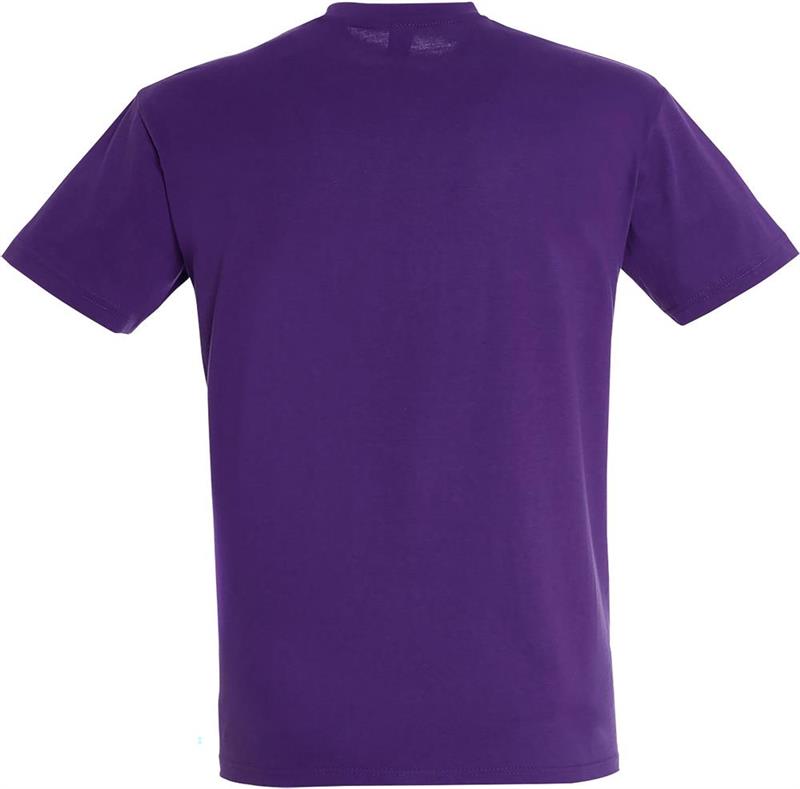 Koszulka REGENT Unisex 150g-28069