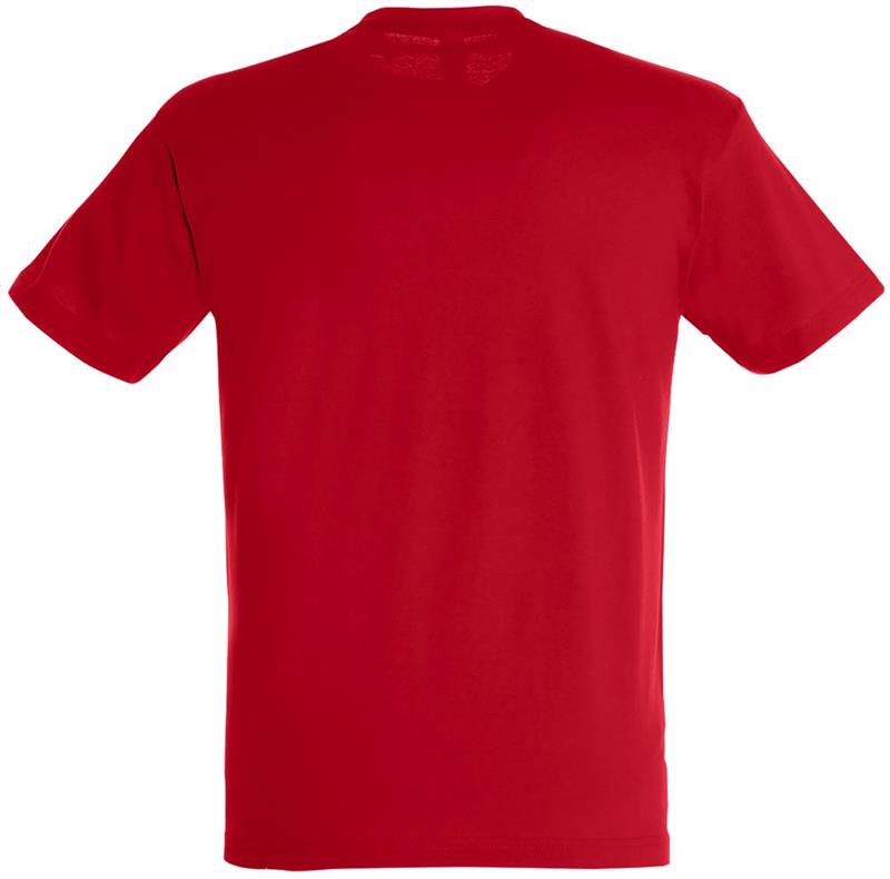Koszulka REGENT Unisex 150g-28049