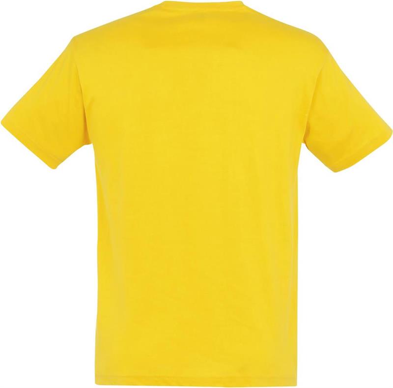 Koszulka REGENT Unisex 150g-28067