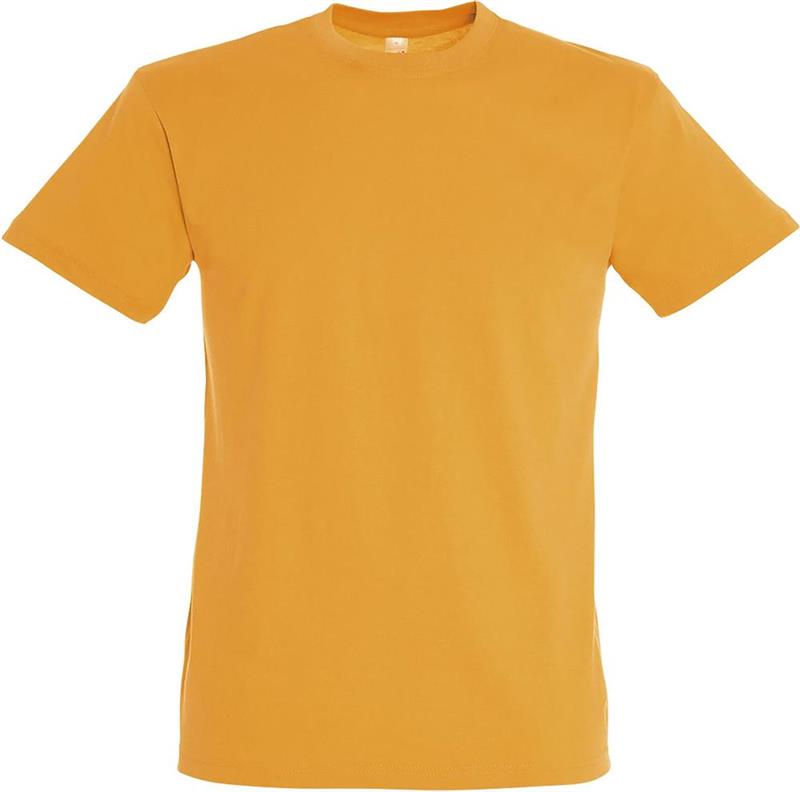 Koszulka REGENT Unisex 150g-28035