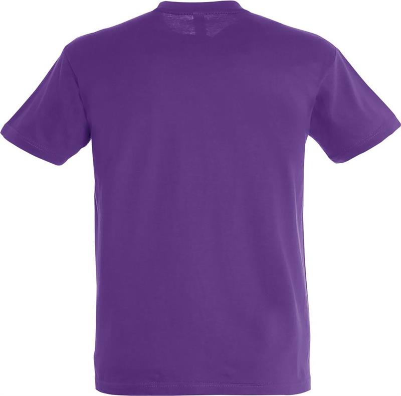 Koszulka REGENT Unisex 150g-28059
