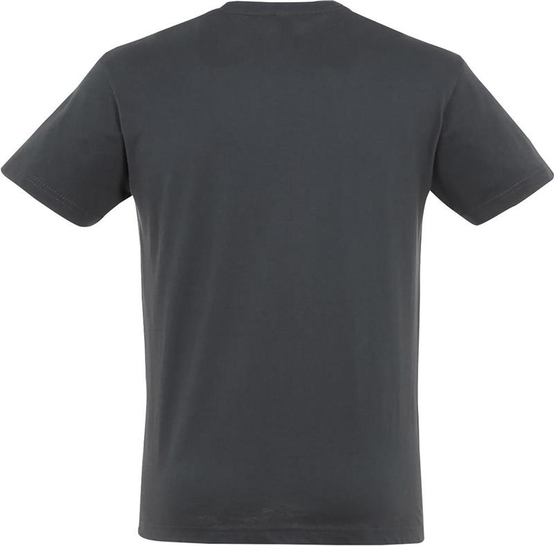 Koszulka REGENT Unisex 150g-28056