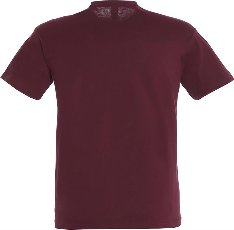 Koszulka REGENT Unisex 150g-28081