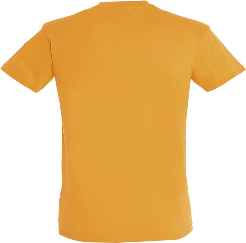 Koszulka REGENT Unisex 150g-28074