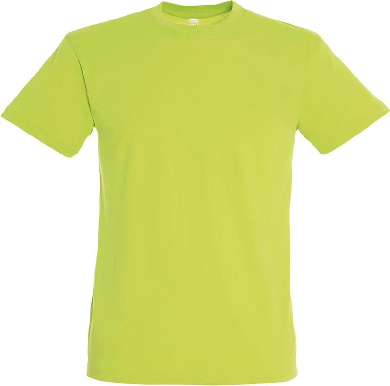 Koszulka REGENT Unisex 150g-28106