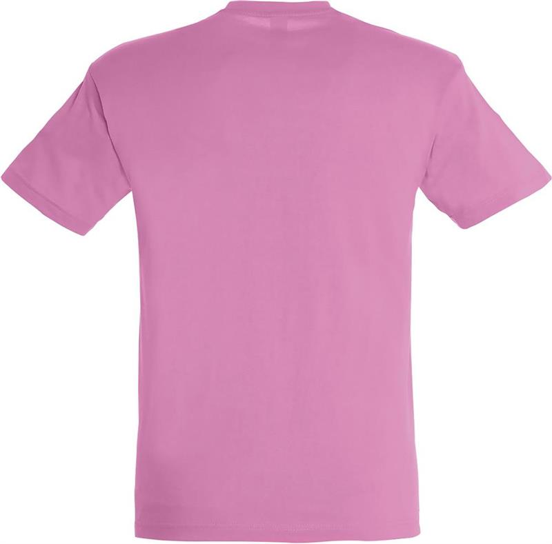 Koszulka REGENT Unisex 150g-28053