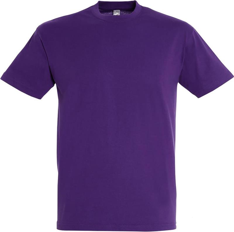 Koszulka REGENT Unisex 150g-28124