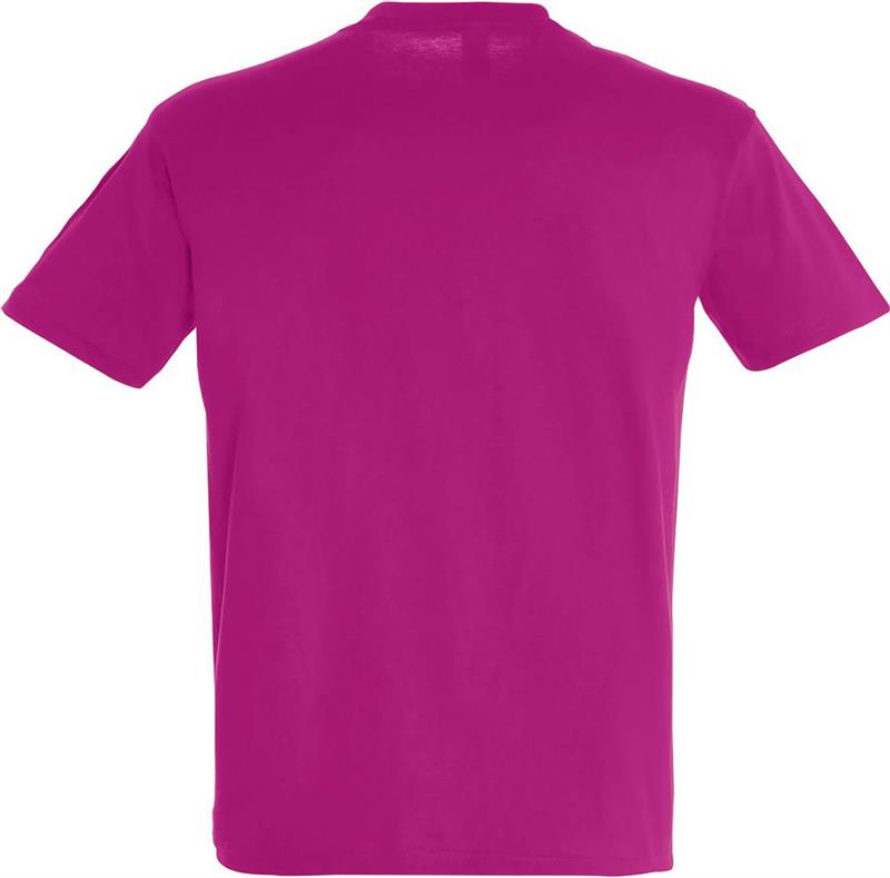 Koszulka REGENT Unisex 150g-28061