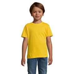 REGENT Dziecięcy T-SHIRT-9278